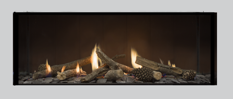 Escea DS1150 Double Sided Fireplace